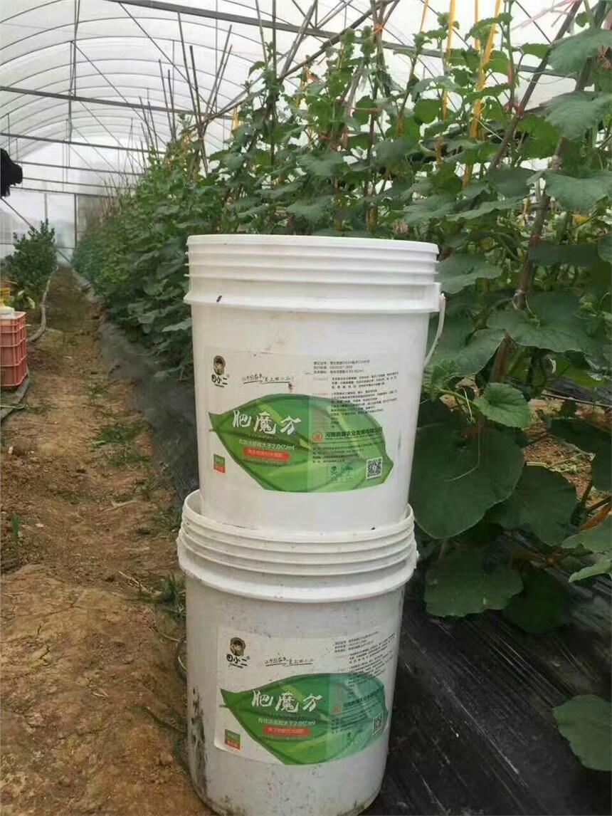 粘土地施用復(fù)合微生物肥料和生物有機(jī)肥的好處